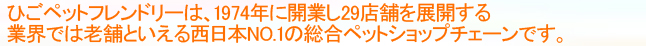 ひごペットフレンドリーは西日本No.1のペットショップであります。