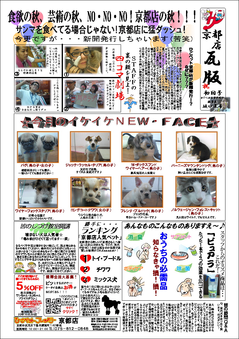 ひごペット京都店 便り 初回号