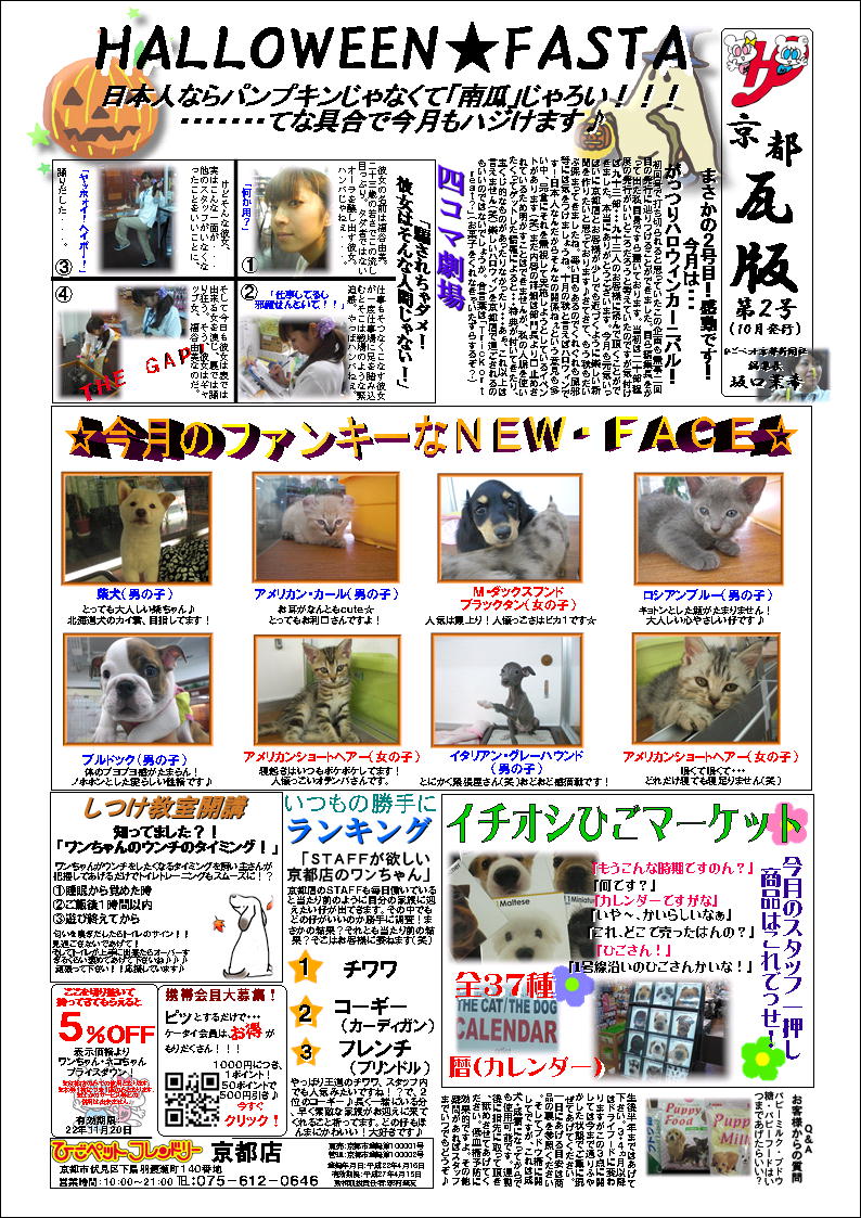 【ひごペット京都店】京都店 瓦版 驚!第2号