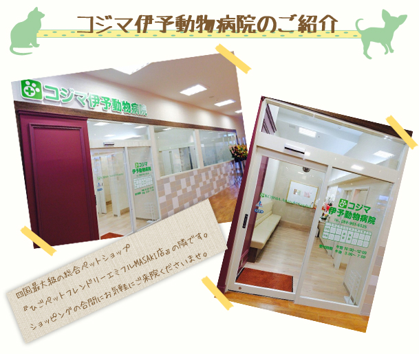 伊予動物病院