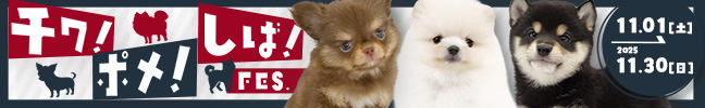 チワ!ポメ!しば!フェス
