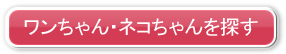 ElRTB ybg