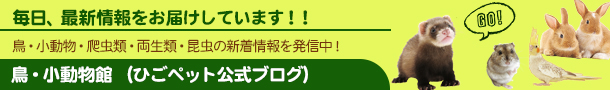 Ђybgth[ uO  
