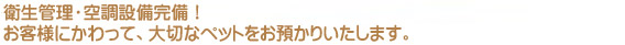 ybgze