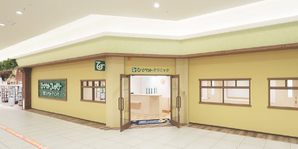 ЂybgNjbN ͕a@