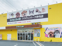 ひごペットフレンドリークラウンパーク伊丹店の写真