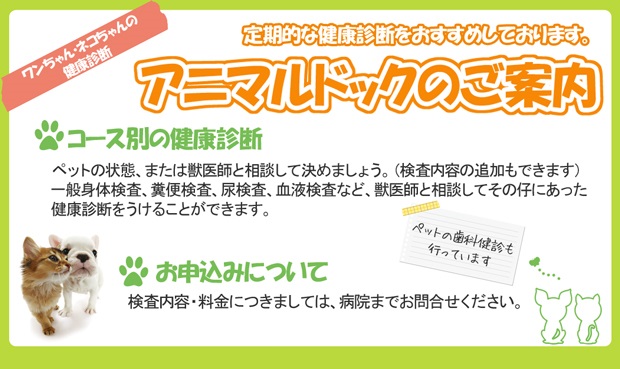 アニマルドック