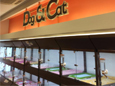 みのおキューズモール店