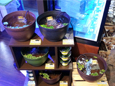 みのおキューズモール店