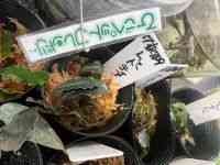 ̑iuZt@hj