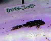 ̑iE^j