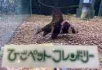 ^MуRCiouj
