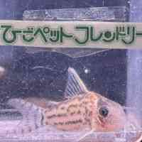 RhX@Z~Om[Y