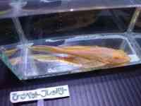 ̑iE^j