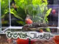 ̑iE^j