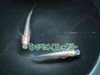 ̑iǃ_Jj
