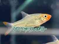 ̑iE^j