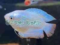 h[tO~[