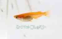 kM܃_J