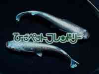̑iǃ_Jj