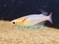 ̑iMу_Jj