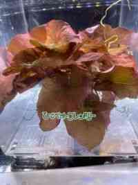 ^Cjt@