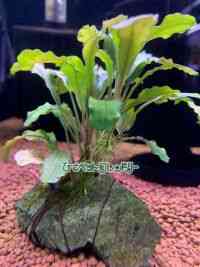 ̑iuZt@hj