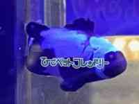 ̑iN}m~j