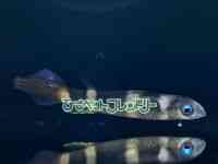 ̑iMу_Jj