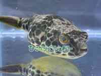 ̑i^WtOj
