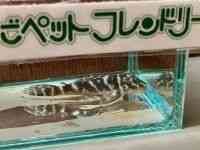 ̑i^j