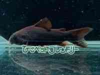 RhX@V[gm[Y