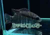 ̑iE^j