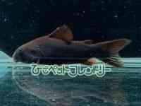 RhX@V[gm[Y
