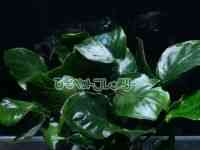 ̑iAkrAXj