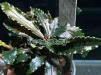 ̑iuZt@hj