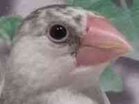 u`E