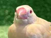 u`E