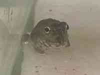 ̑iJGnj