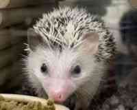 nlY~^sO~[wbWzbO