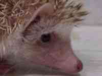 nlY~^sO~[wbWzbO