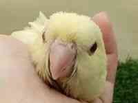 TUi~CR