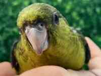 TUi~CR