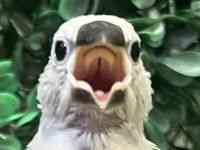 u`E