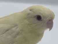 TUi~CR