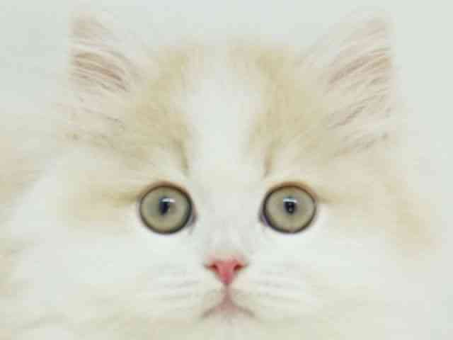 TCxAmN[zCgn
