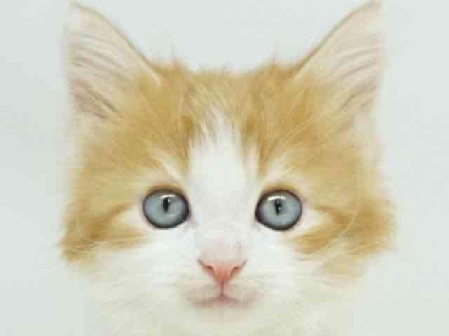 CN[mbh^r[zCgn
