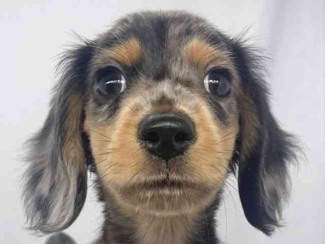 ~j`AE_bNXthEOwA[mVo[_bvn