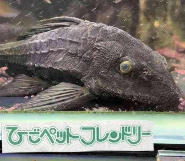̑iE^j