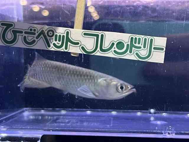 m[UofB